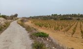 Tour Wandern Leucate - leucate - la franqui (via le plateau) - phare (via la falaise) - leucate (via le plateau) - Photo 20