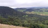 Trail Walking Aydat - Puy de Vichatel depuis la Garandie - Photo 11