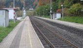 Percorso A piedi Gemeinde Payerbach - Küb - Ruine Klamm - Photo 7