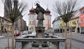 Tour Zu Fuß Bad Leonfelden - Nordwaldkammweg Verbindungsweg V8 - Photo 6