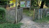 Percorso Marcia Brain-sur-Allonnes - BALADE BRUN SUR ALLONE DANS LA FORÃT  - Photo 5