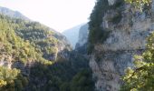 Trail Walking Châtillon-en-Diois - Circuit des Baumes - Pont de vachères-Soubreroche - Boulc - Photo 20