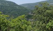 Trail Electric bike Monteux -  Carpentras gorges de la Nesque - Photo 4