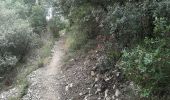 Trail Walking La Roque-Alric - Rochers des Évêques  - Photo 1