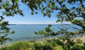 Tocht Stappen Sarzeau - pointe de l'Ours à partir de Bernon - Photo 1