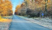 Randonnée Marche Saint-Jean-aux-Bois - en forêt de Compiègne_44_sur les Routes du Moulin et de Berne - Photo 14