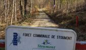 Trail Walking Stoumont - UTDS - Lorcé - Coo - Photo 8
