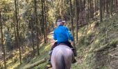 Trail Horseback riding Raon-l'Étape - Yogo Claude tivio kaline - Photo 15