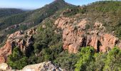 Trail Walking Saint-Raphaël - Collines et vallons de l'Esterel - Photo 9