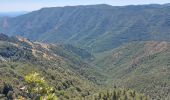 Randonnée Marche Val-d'Aigoual - serreyrede à l aigoual par arboretum - Photo 3