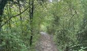 Tocht  Pétange - Fond de Gras depuis Lamadeleine  - Photo 8