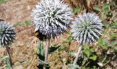 Tour Wandern Bédoin - Le sentier Marcel archimard  - Photo 2