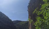 Randonnée Marche Labastide-de-Virac - Les gorges par 1000 étoiles  - Photo 6