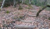 Percorso Marcia Les Mées - les pénitents et leur forêt domaniale - Photo 7