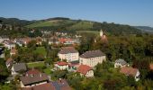 Randonnée A pied Gemeinde Aspang - Aspang-Markt - Samberg - Ausschlag - Photo 8