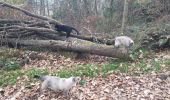 Trail Walking Livron - Livron avec chats 7 - Photo 1
