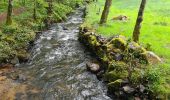 Percorso Marcia Aubazines - Reco-Lac de Coiroux-2024-04-25 - Photo 16