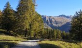 Tocht Noords wandelen Arbaz - Anzère  - Photo 3