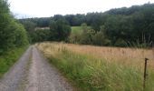 Tocht Stappen Comblain-au-Pont - poulseur mix balade croix bleue et croix jaune - Photo 8