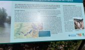 Tour Wandern Baudinard-sur-Verdon - Baudinard : Basses gorges du Verdon - Photo 6