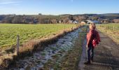 Randonnée Marche Houffalize - Wibrin - Photo 17