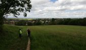 Trail Walking Chaponnay - 69-chaponnay-a-luzinay-20KM-430m-sensH-mai21 - Photo 5