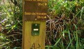 Trail Walking Saint-Benoît - Bassin des hirondelles et cassé de Takamaka  - Photo 2
