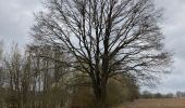 Trail Walking Tervuren - Promenade XT2 - Photo 15