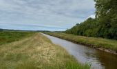 Trail Nordic walking Vendays-Montalivet - Marais de la Perge - Photo 18