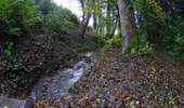 Trail Mountain bike Charleroi - SityTrail - 2976299 - vtt-de-ransart-sur-villers-la-ville-nouveau-50km - Photo 4