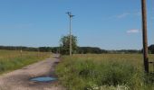 Tocht Te voet Spreewaldheide - Wanderweg Butzen-Byhlener See - Photo 8