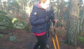 Trail Walking Fontainebleau - rocher d'Avon 13 janvier 2023  - Photo 16