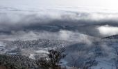 Randonnée Marche Ottrott - 2022-12-18 Picnic CVA Mt Ste Odile a pied - Photo 2