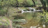 Tour Wandern Cabasse - Cabasse - Lac de Carcès - Issole - ND du Glaive - Dolmen de la Gastée - Photo 19