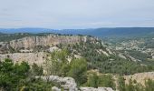 Excursión Senderismo Ollioules - Gros Cerveau - Ollioules - Photo 1