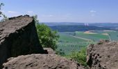 Tour Zu Fuß Coppenbrügge - CO3 Schlossweg - Photo 1