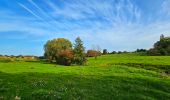 Excursión Senderismo Braine-Le-Comte - Marche Adeps à Hennuyères - Photo 17