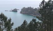 Trail Walking Crozon - L'ile vierge - Photo 1