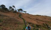 Tour Wandern Douarnenez - DOUARNENEZ  - Photo 8