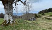 Trail Walking Cornimont - Col du Brabant - Roche du Lac via Collet-Masuy - Photo 4