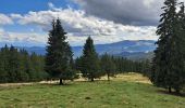 Trail Walking Le Valtin - VOSGES 2023 - Col de la Schlucht - Les Rochers de Hirschteine - Photo 7