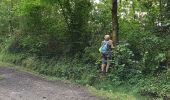 Trail Walking Écouves - OT les Haras de Radon à Damigny - Photo 13