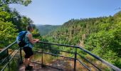 Excursión Senderismo Oberhaslach - Le Nideck, entre ruines et cascades - Photo 11