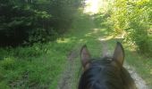 Trail Horseback riding Bouquetot - hauville brotonne - Photo 3