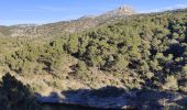 Trail Walking Aix-en-Provence - Randonnée des barrages Zola et Bimont - Photo 13