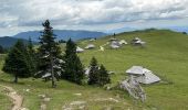 Trail Walking Kamnik - Velika Planina - Photo 1