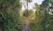 Tocht Stappen Baños de Agua Santa - Baños - Casa del Arbol - Photo 14