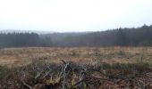 Trail Walking Verviers - mariomont - la gileppe aller via Trail Walking Verviers - mariomont - la gileppe aller via