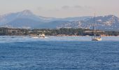 Randonnée Marche Hyères - Ile de Porquerolles - Photo 19