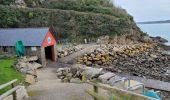 Tour Wandern Fréhel - PORT à  la DUC.     ..... FORT LALATTE - Photo 17